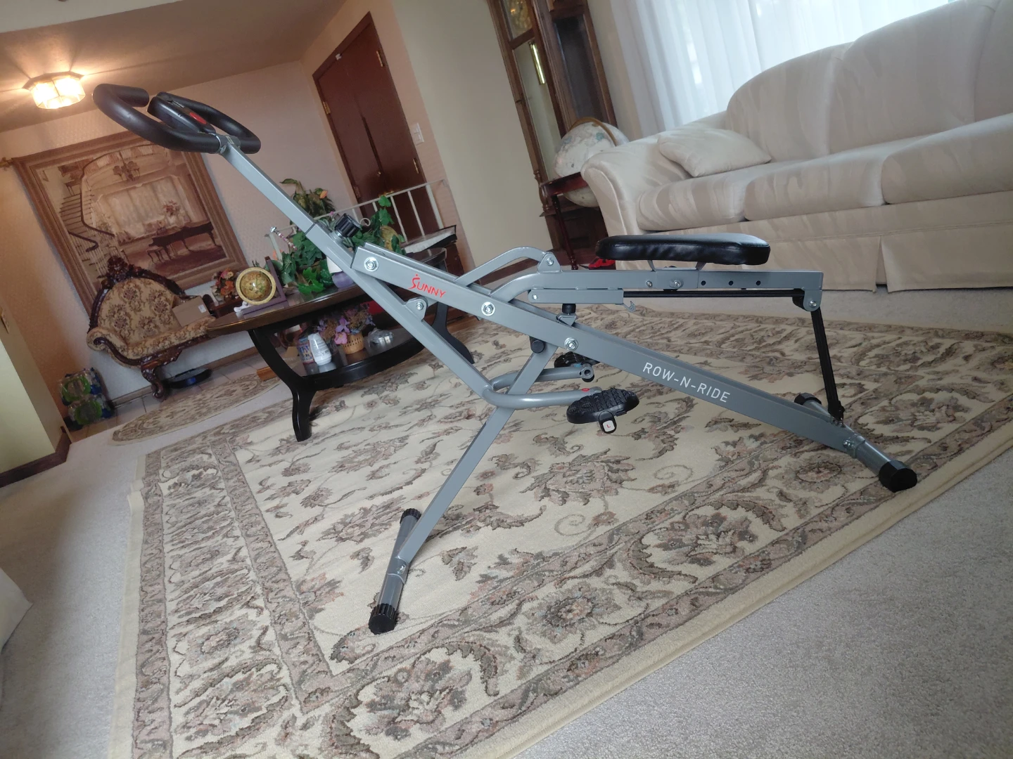 2024 Sunny Row n Ride Squat Machine
