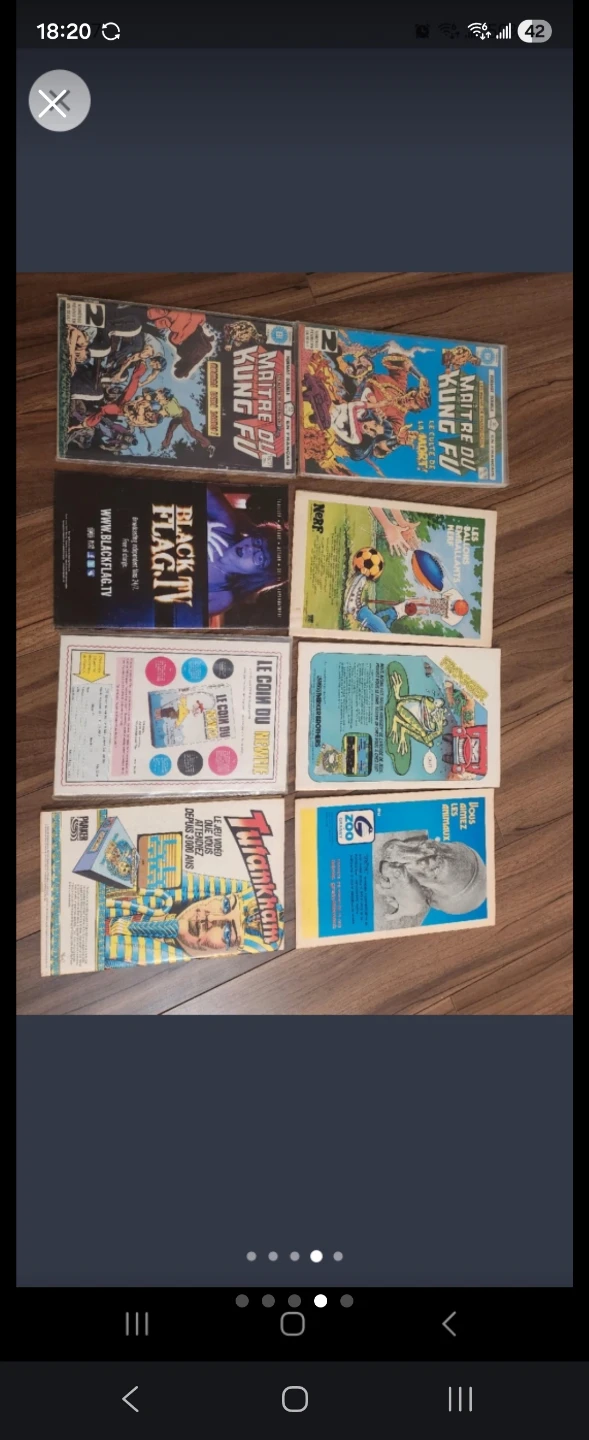 Collection of Maitre du Kung Fu and Silverblood comics - photo 4
