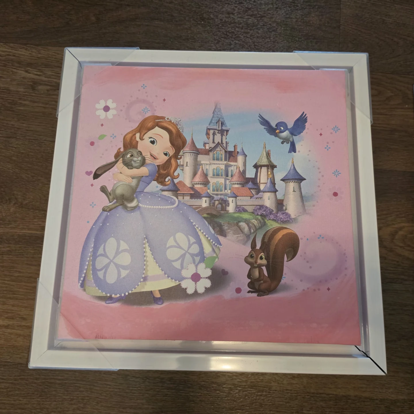 Sofia the First Canvas Art Set - photo 2