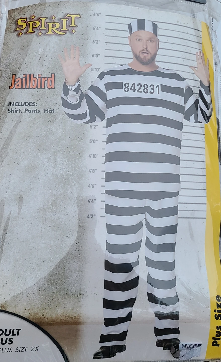 Spirit Halloween Jailbird Costume Plus Size 2X