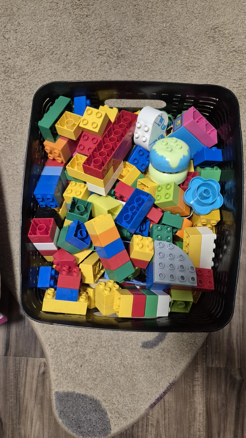LEGO Duplo Mixed Blocks Set
