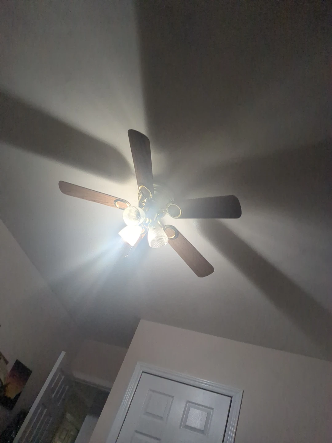 Ceiling fan with light fixture