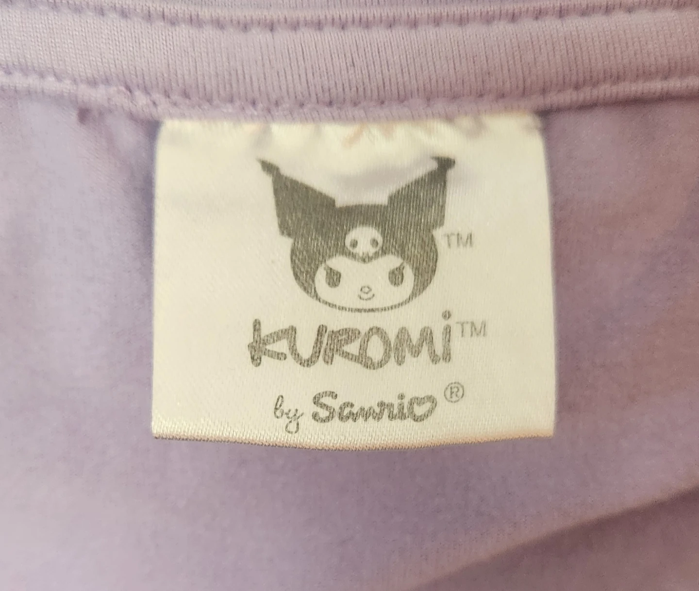 Kuromi Oversize Crop Top - photo 3