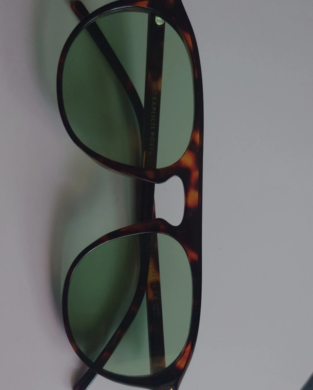 Explicit Poets Carter Sunglasses