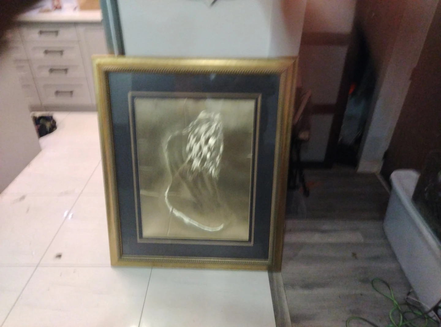 Framed Gold Lion Wall Art