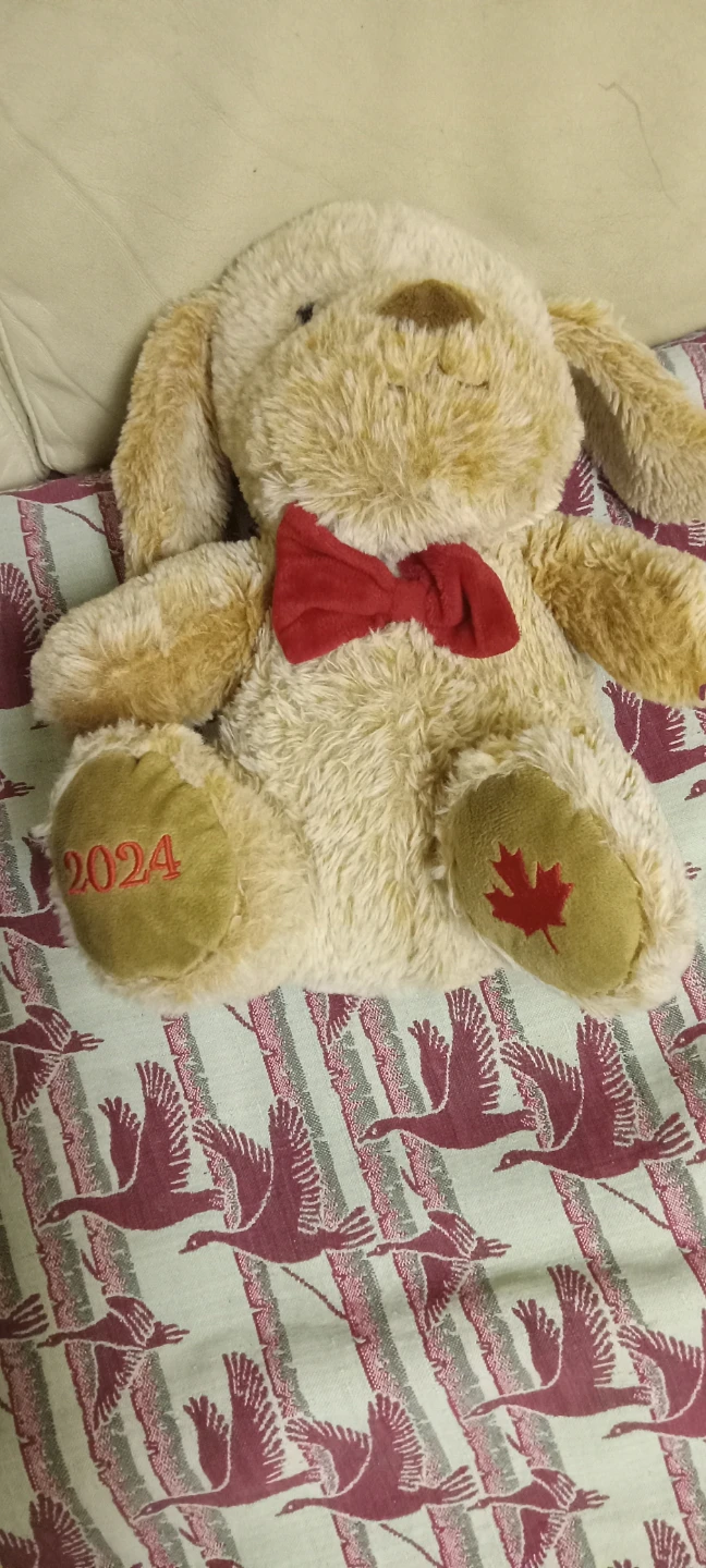 2024 Canadian Edition Plush Puppy - photo 3