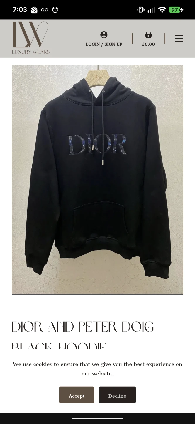 Dior and Peter Doig Black Hoodie