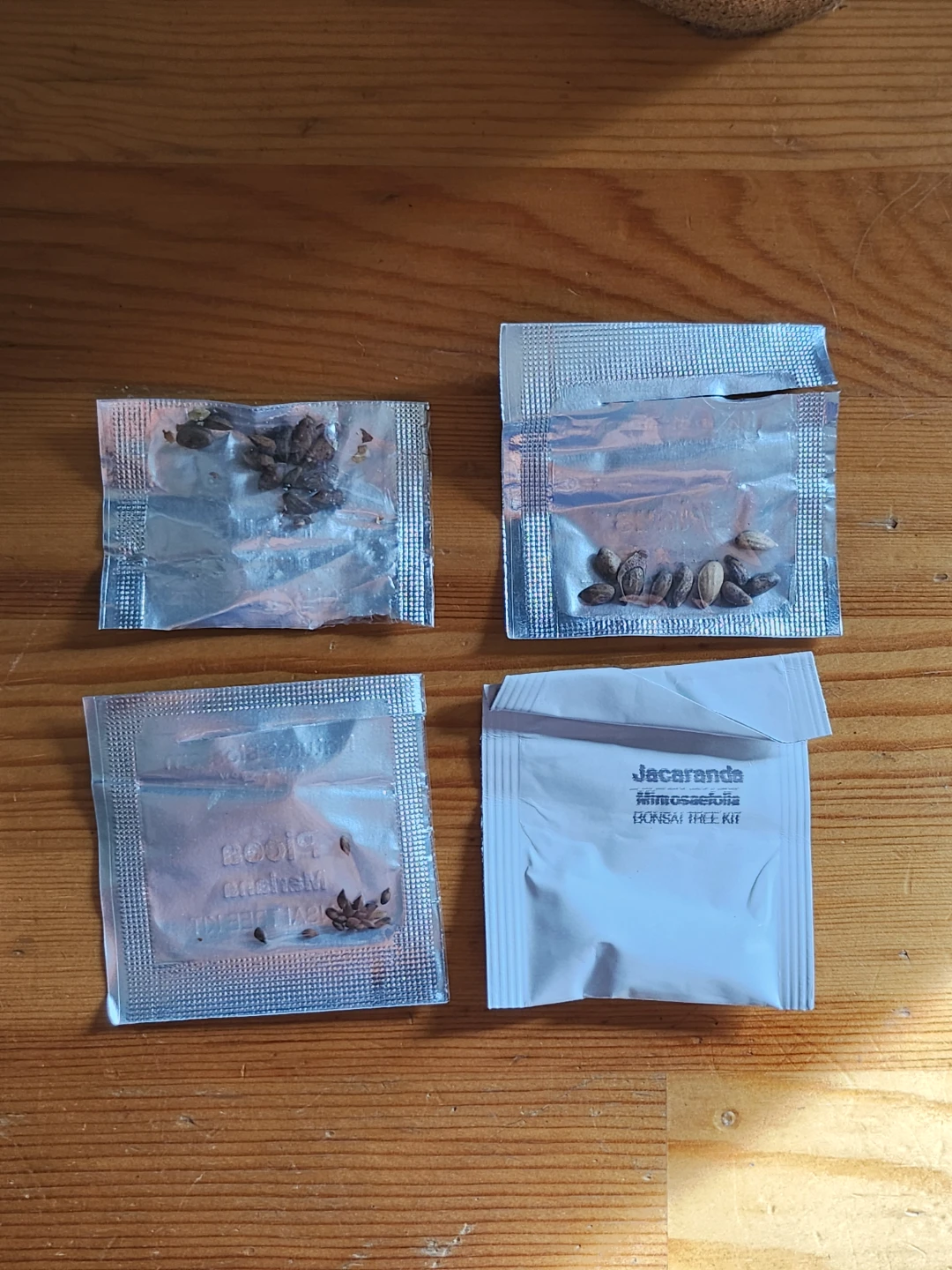 Bonsai Seed Starter Kit Nature's Blossom Sow & Grow (Open box) - photo 5