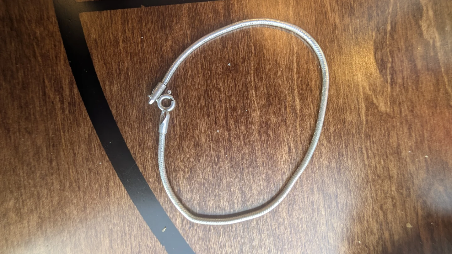 Silver-Tone Snake Chain Bracelet