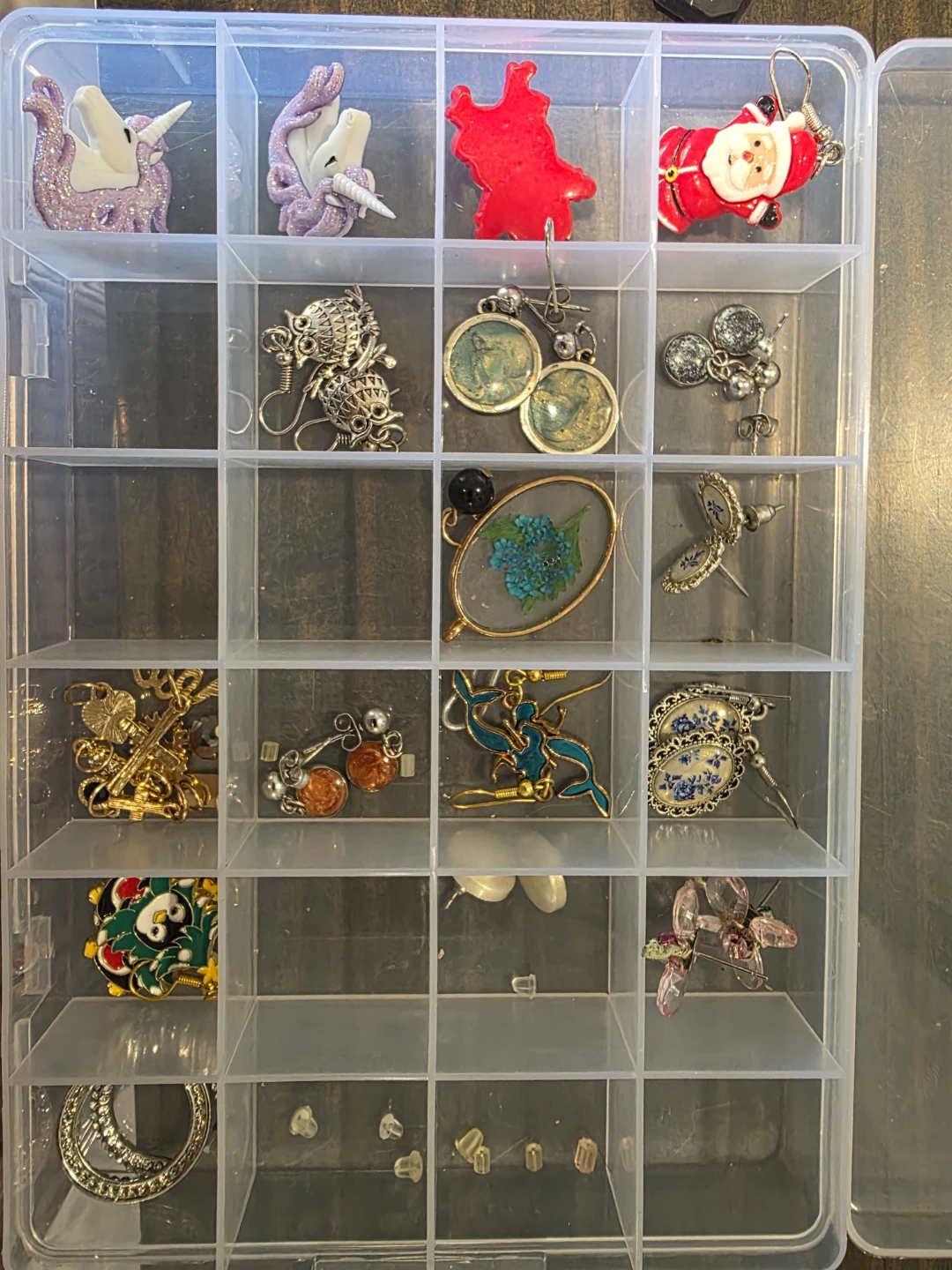 Assorted Fashion Earrings with Storage Case
