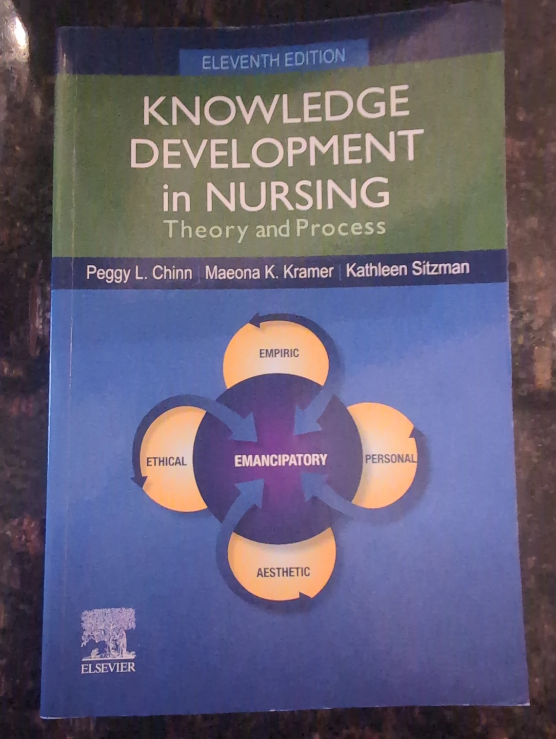 Knowledge Development in Nursing: Theory and Process 11th Ed