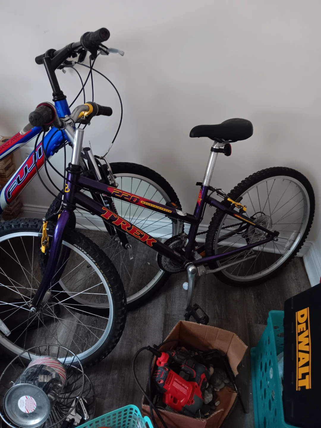 Trek 24