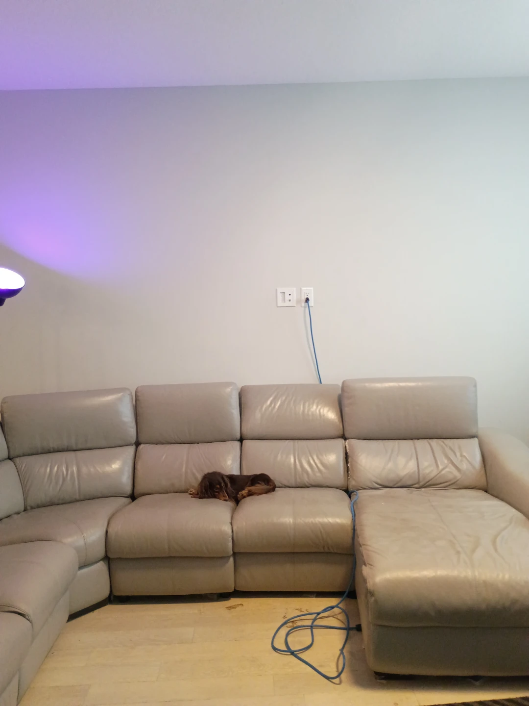 Large Leather sectional couch 450 obo - photo 2