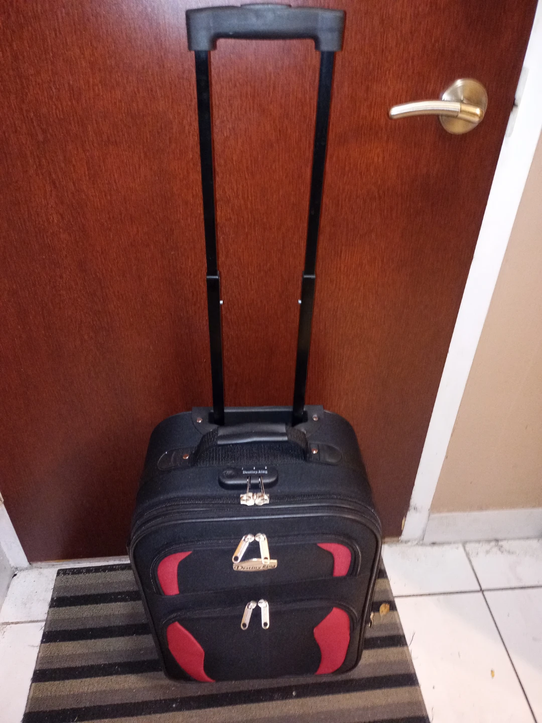 Destiny King Luggage With Swivel Wheels - photo 4