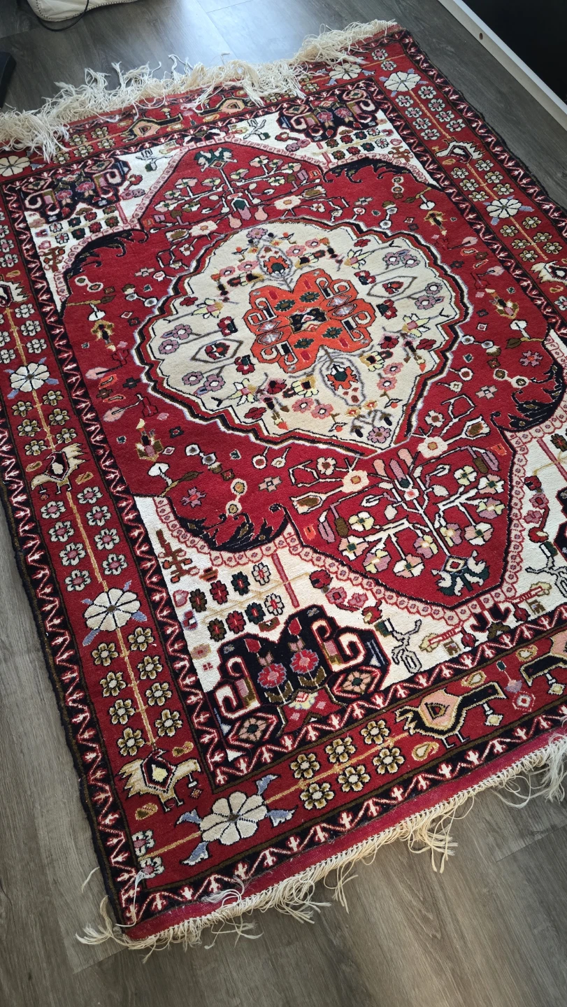 Traditional Persian-style Area Rug - photo 2