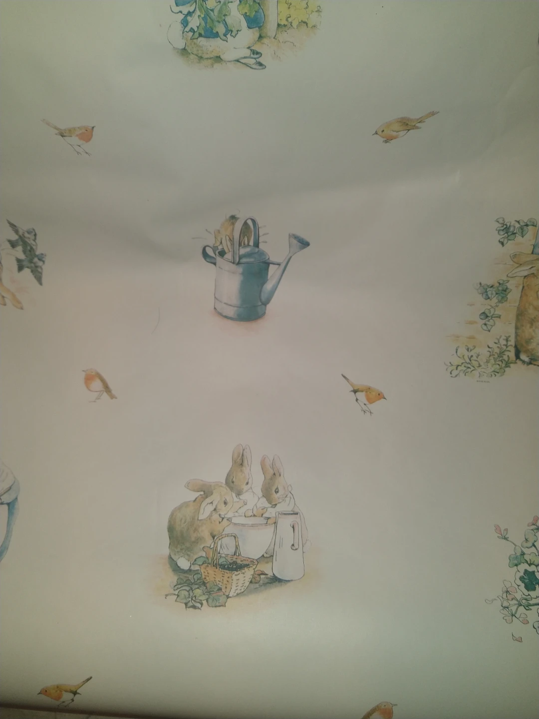 Peter Rabbit Wall Paper and White Ribbon