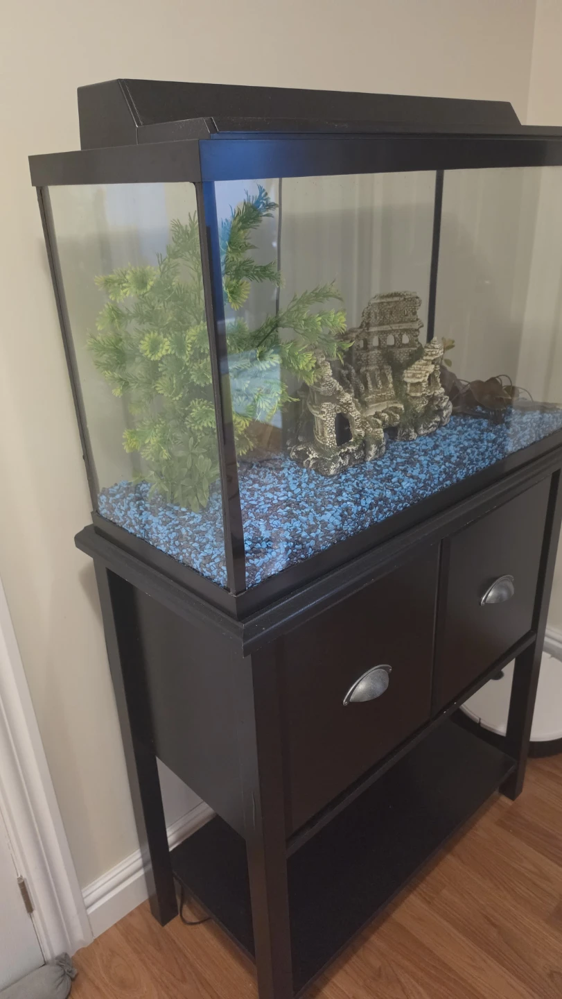 Glass Aquarium with Black Stand - photo 3