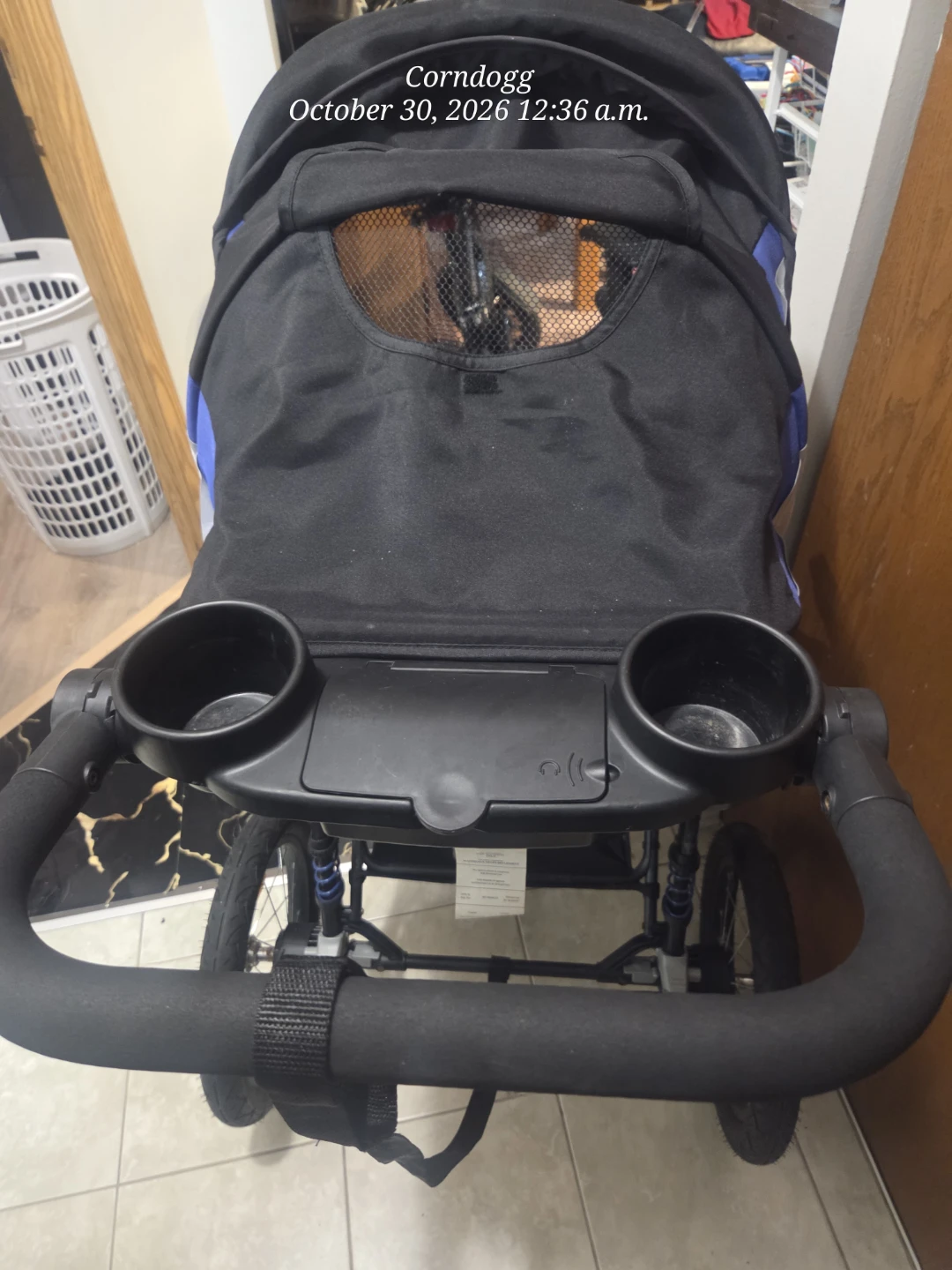 Schwinn Jogging Stroller - photo 4
