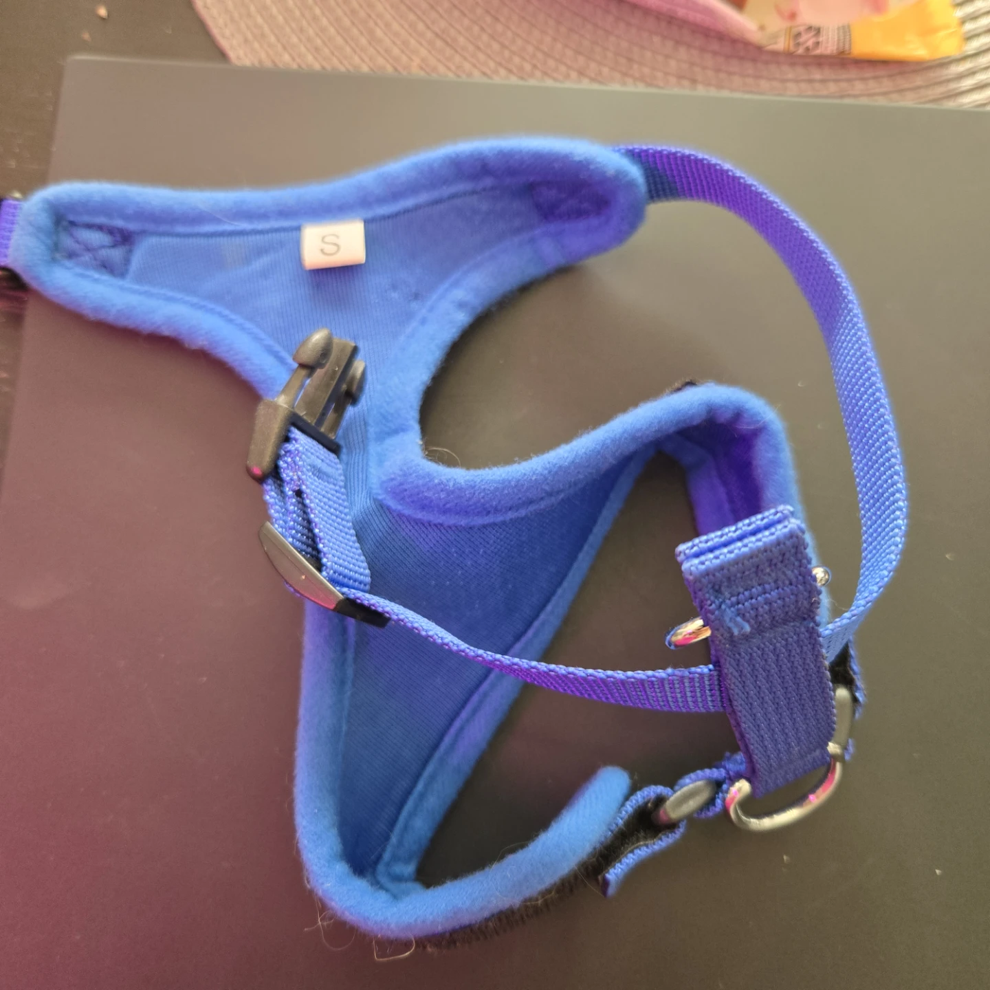 Blue Small Dog Harness - photo 3