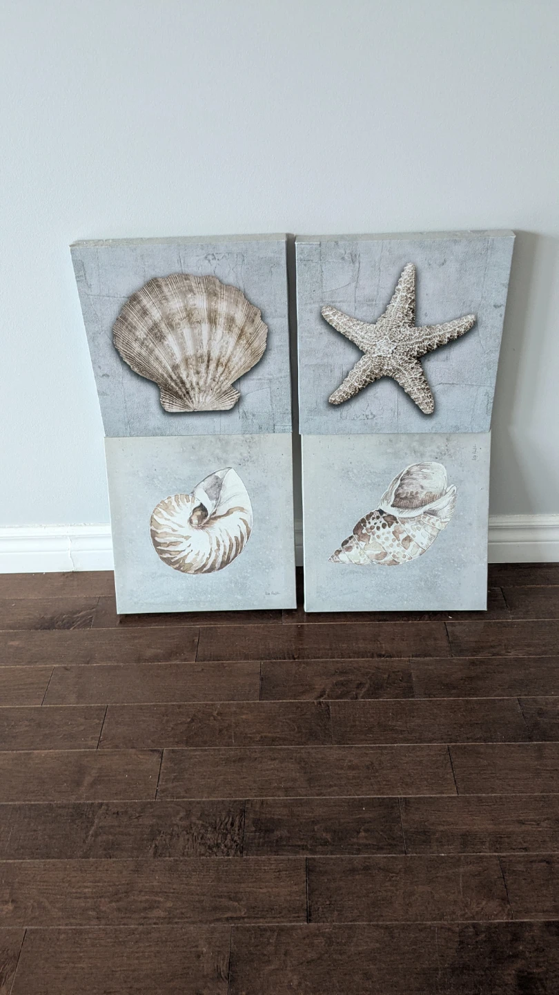 Set of 4 Coastal Seashell Canvas Wall Art - photo 2