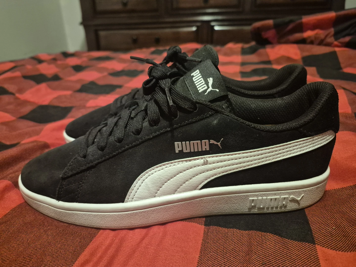 Black swade pumas