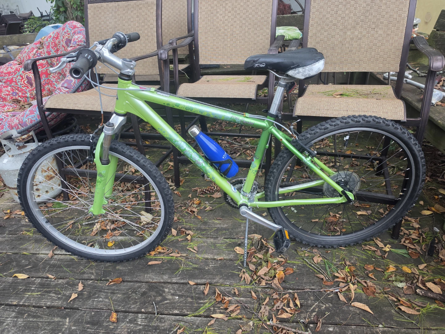 T-Nine Crystal Mountain Bike