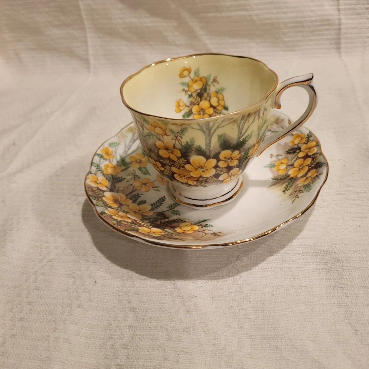 Royal Albert Bone China Tea Cup and Saucer