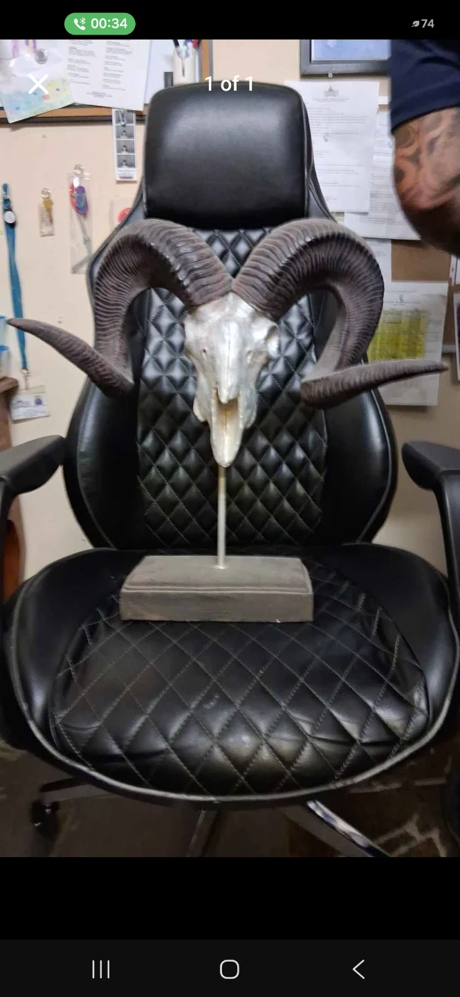 Ram Skull Wall Decor with Stand