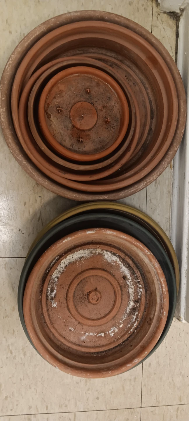 Set of plastic assorted plant pot saucers