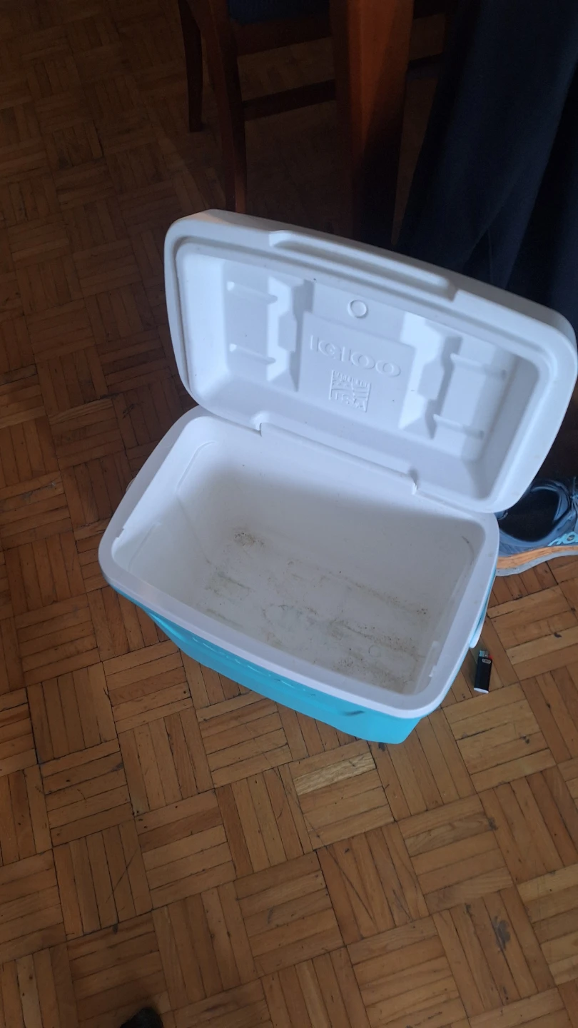 Igloo Cooler Blue and White - photo 2