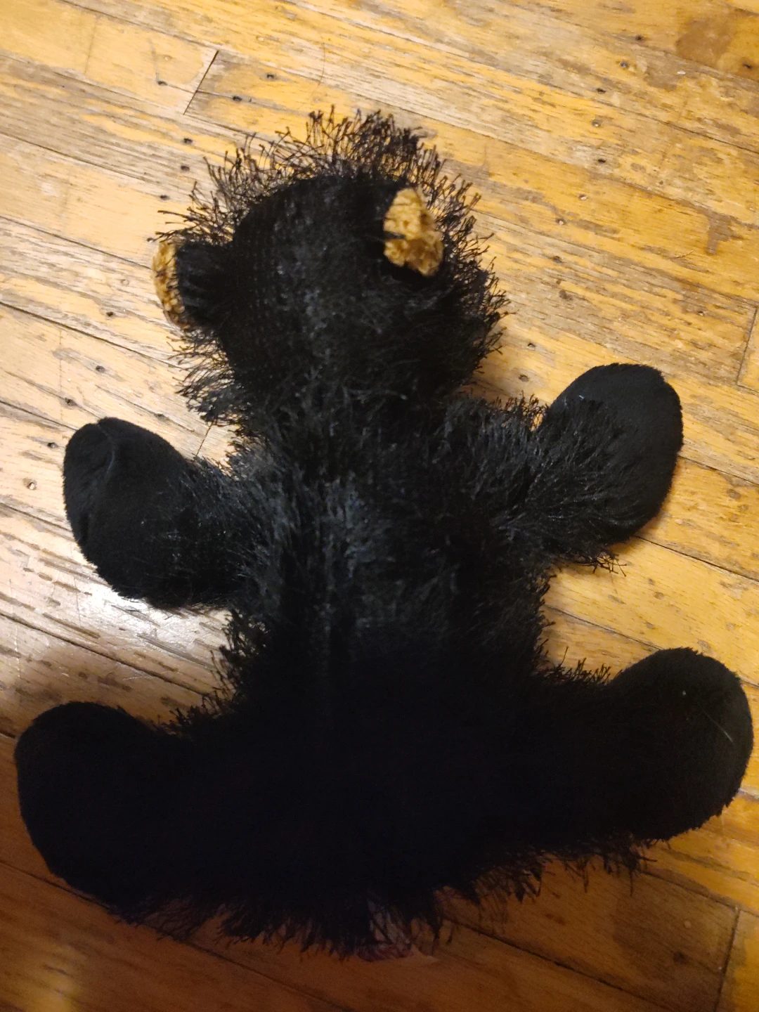 Webkinz Black Bear Plush