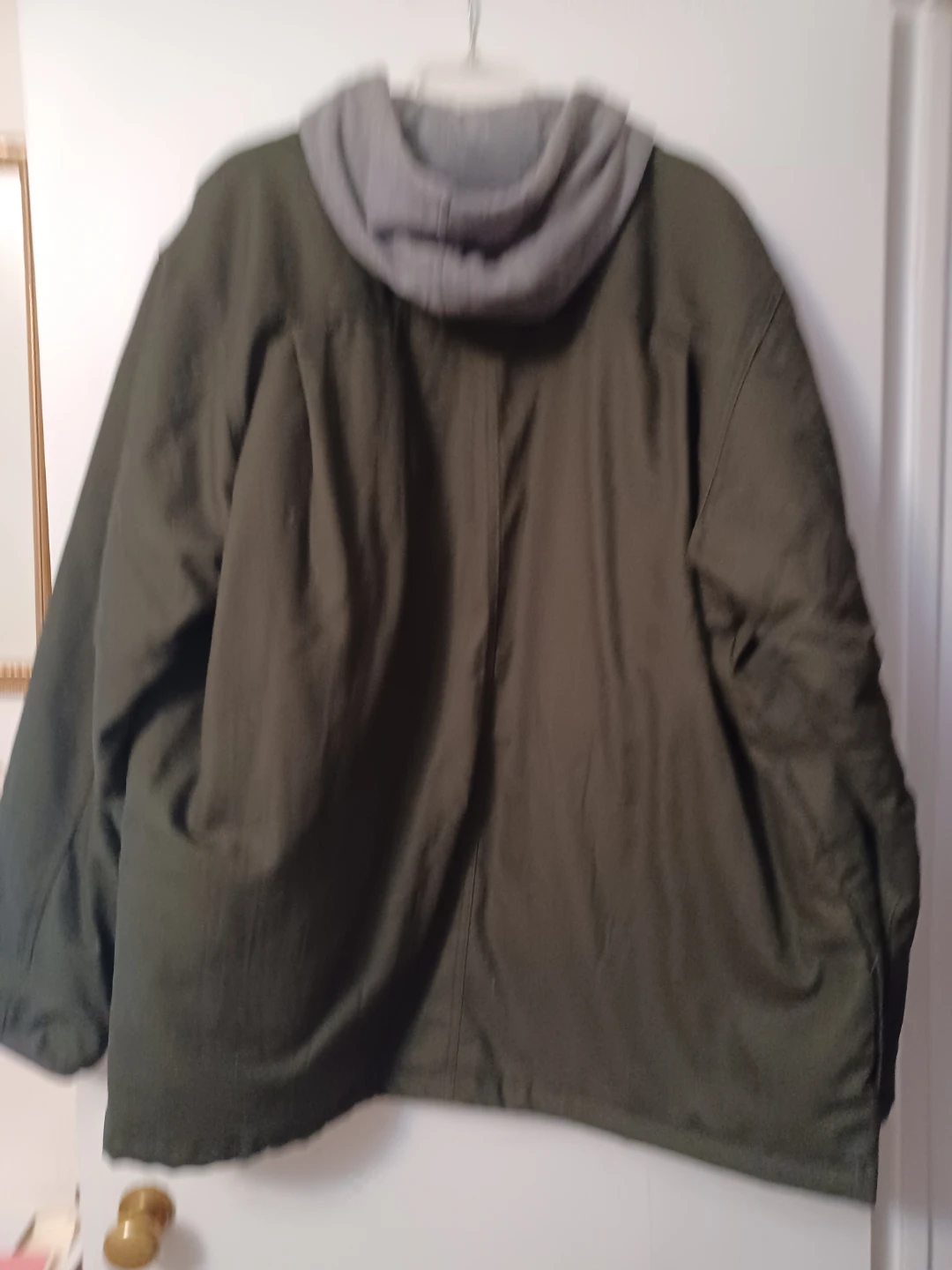 Dickies Quilted Hooded Jacket Olive Green - photo 3