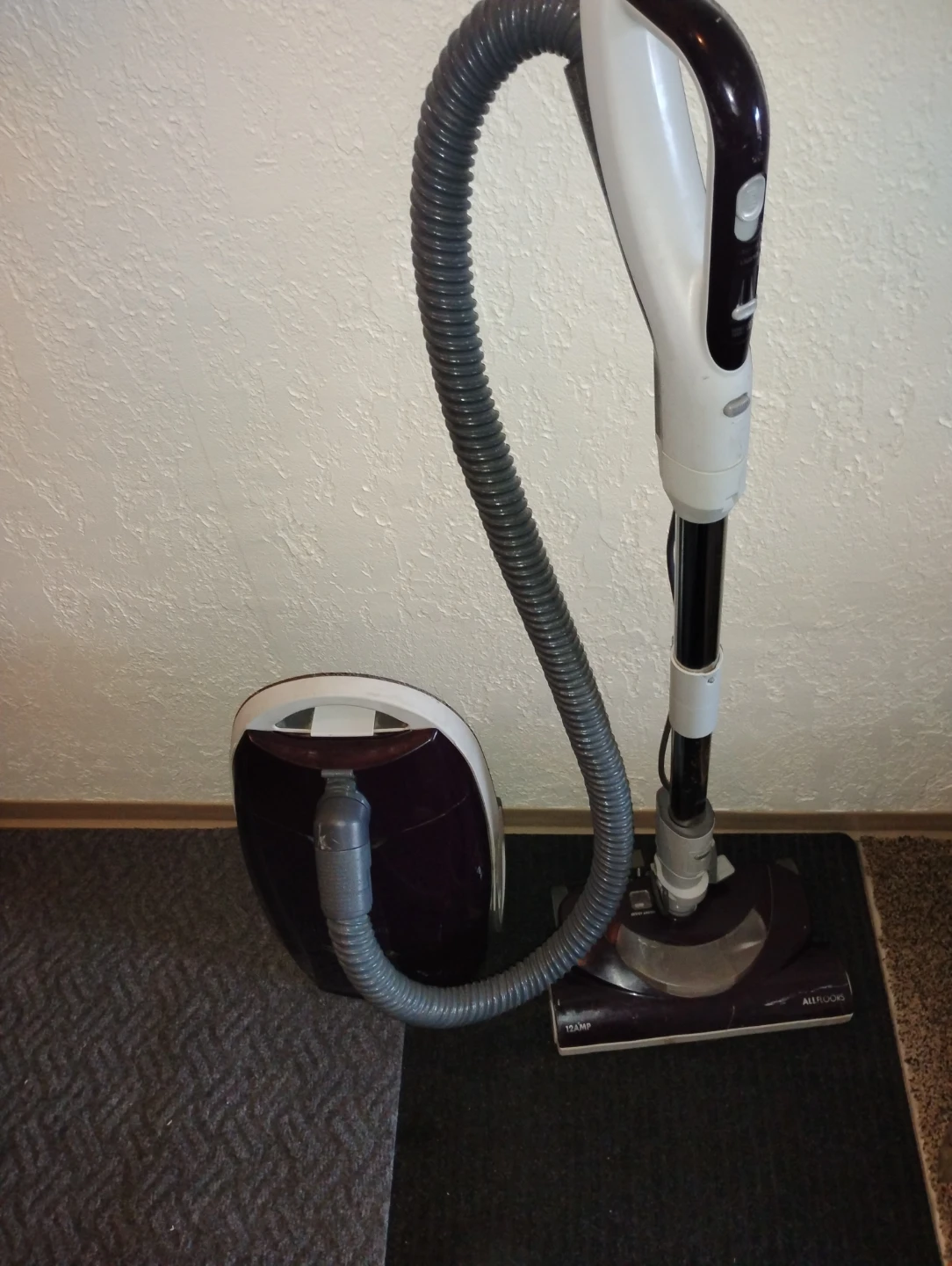 Kenmore Elegance Canister Vacuum