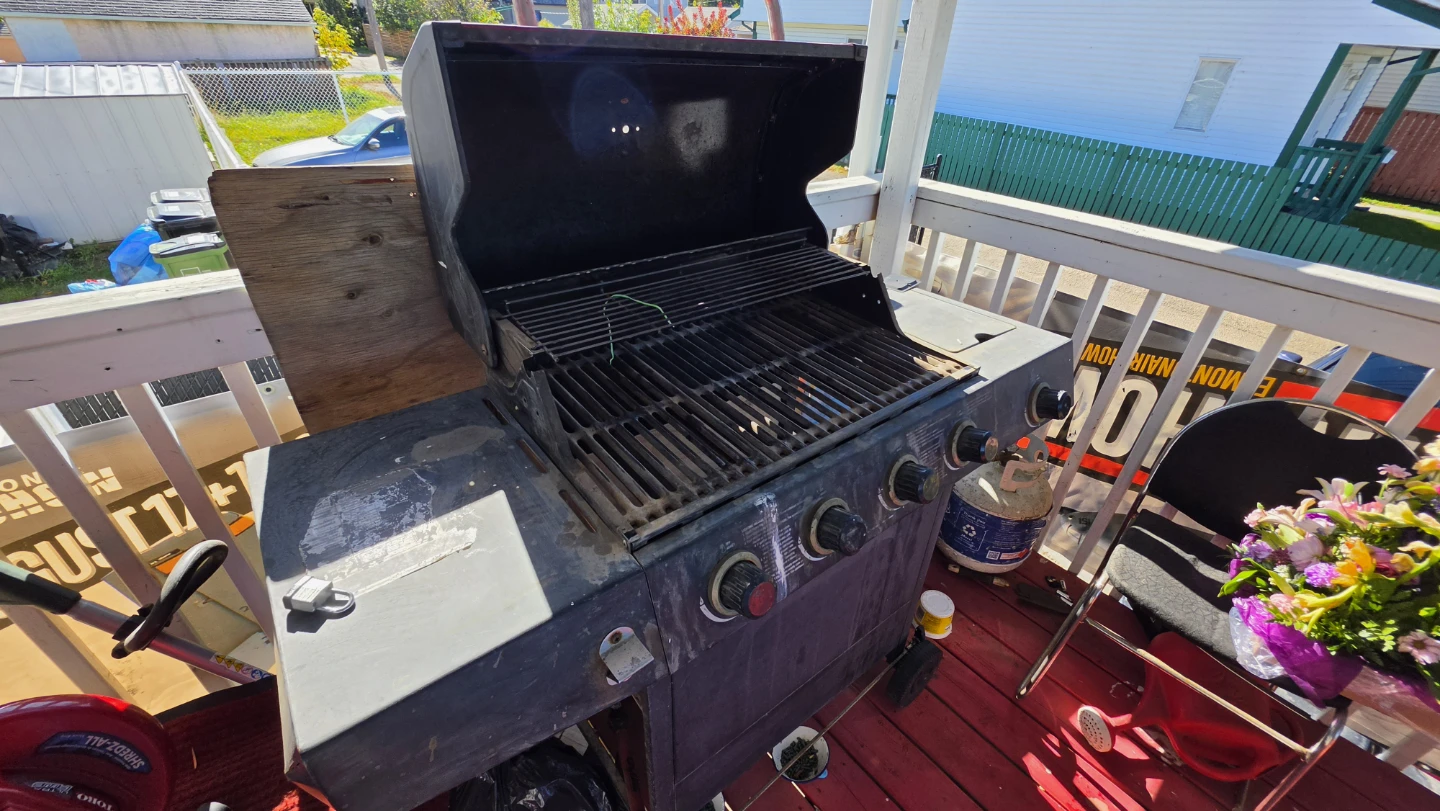 Free barbecue - photo 2
