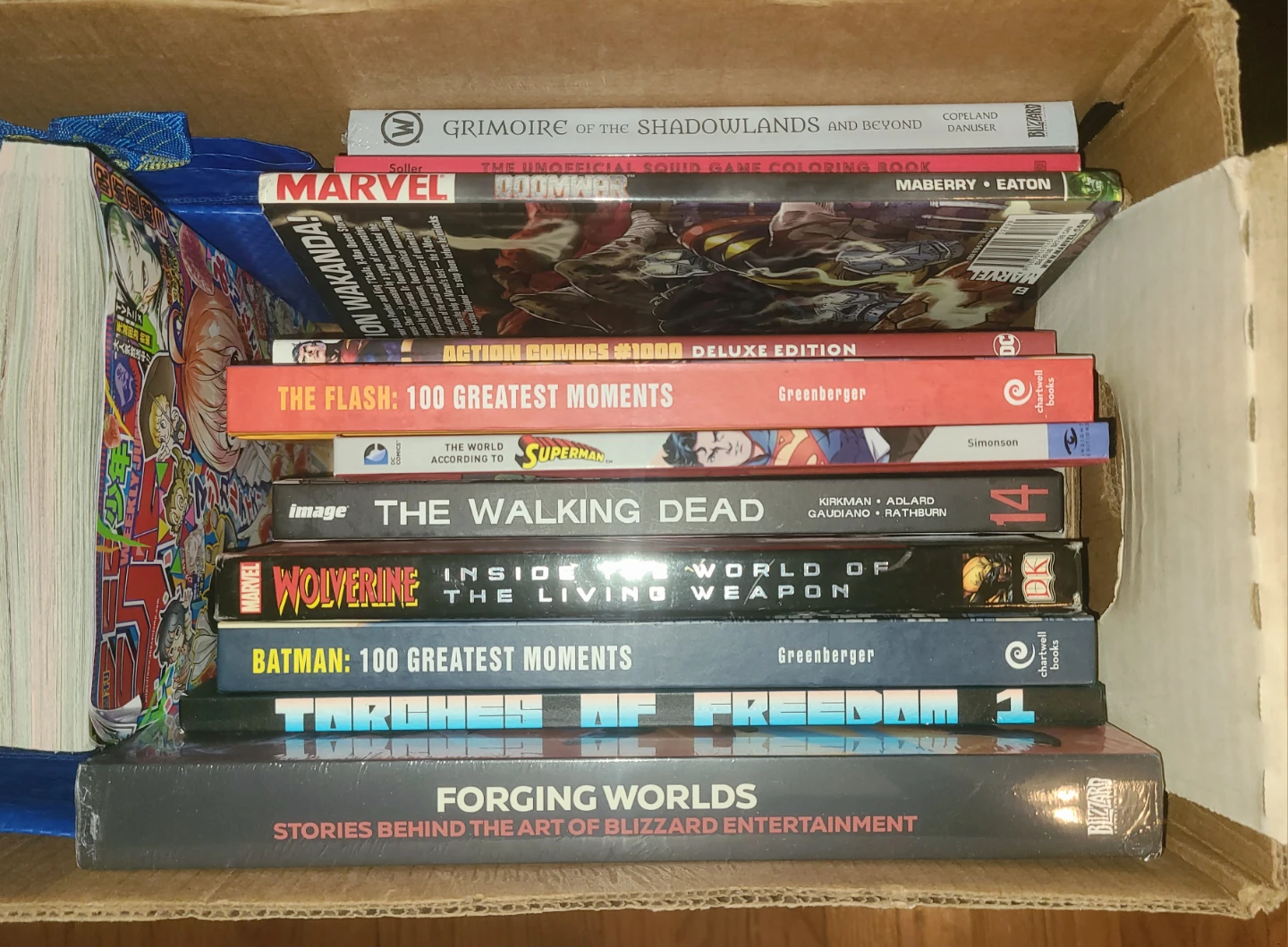 Large Collection of DC, Marvel, and Various Graphic Novels - photo 5