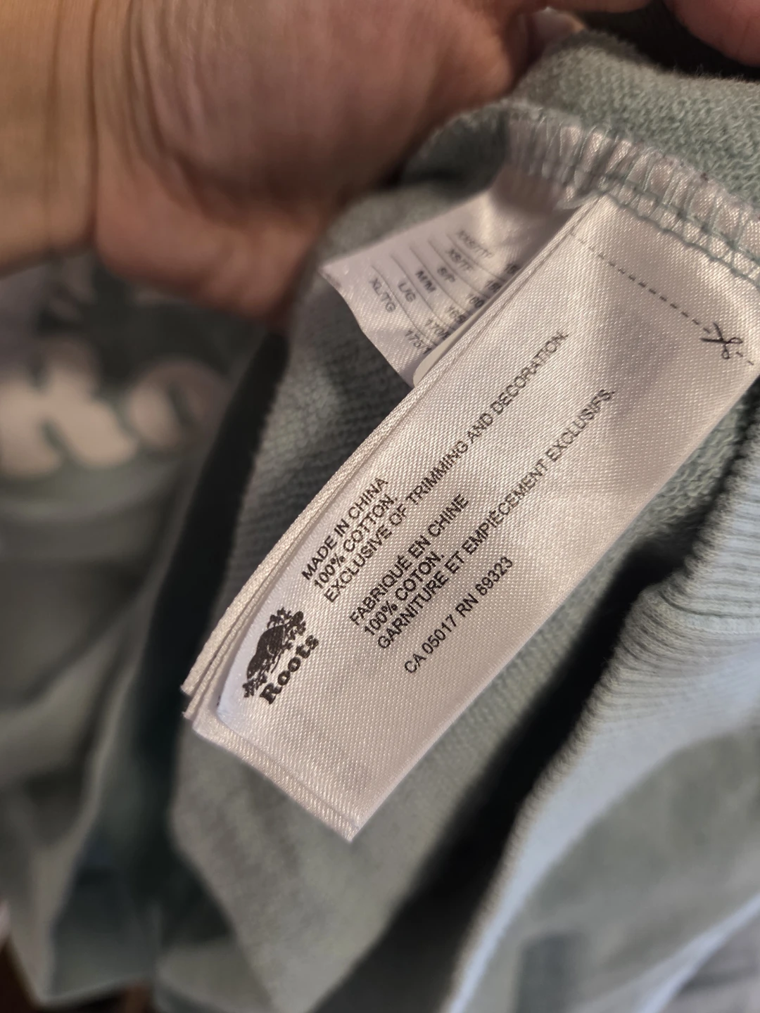 Roots mint green 100% cotton Hoodie - photo 3
