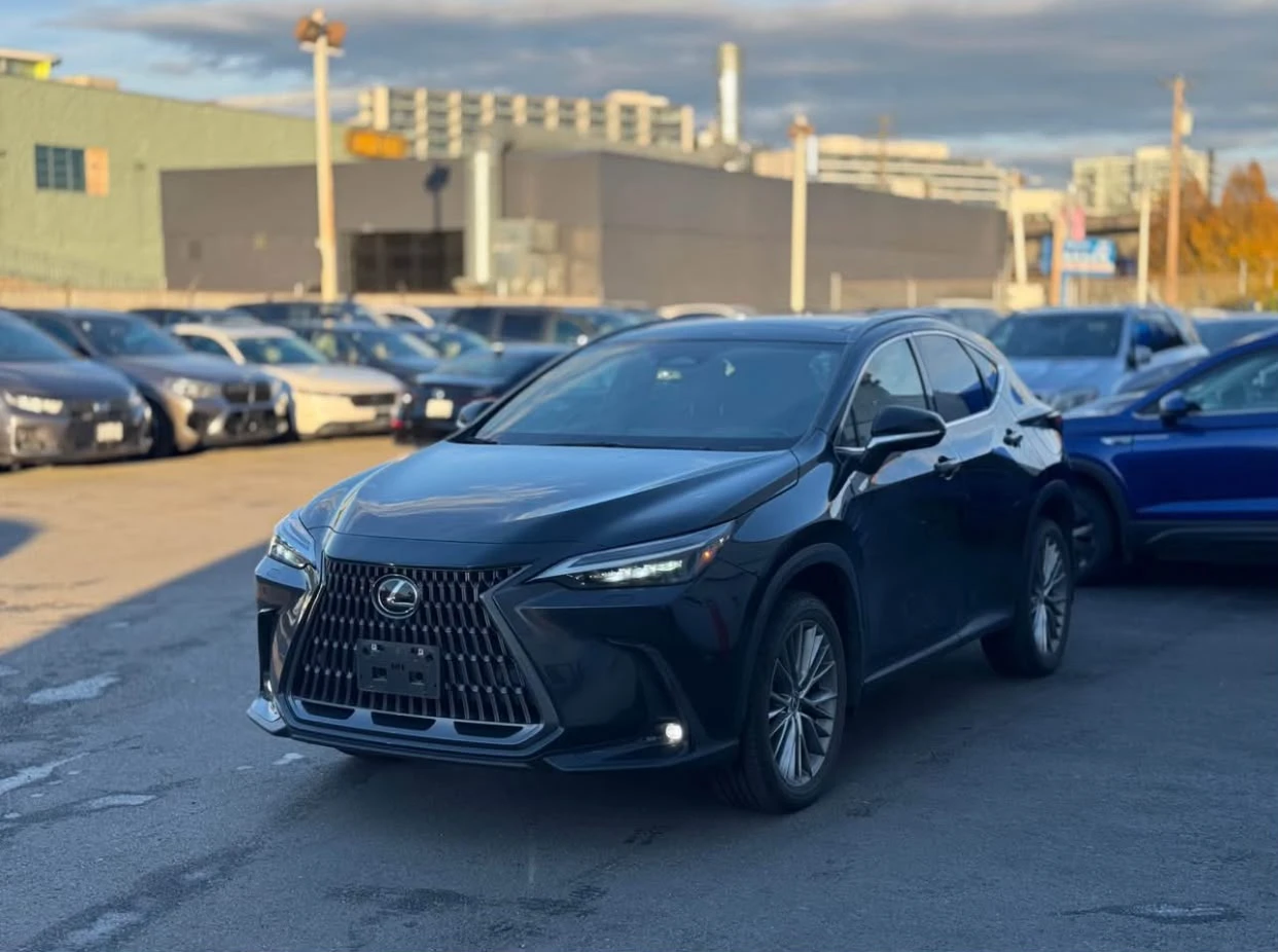 2024 Lexus NX - photo 2