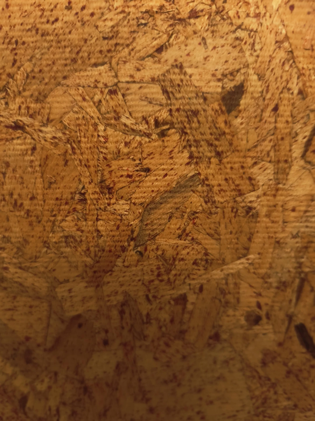 2 plywood Panel - photo 2