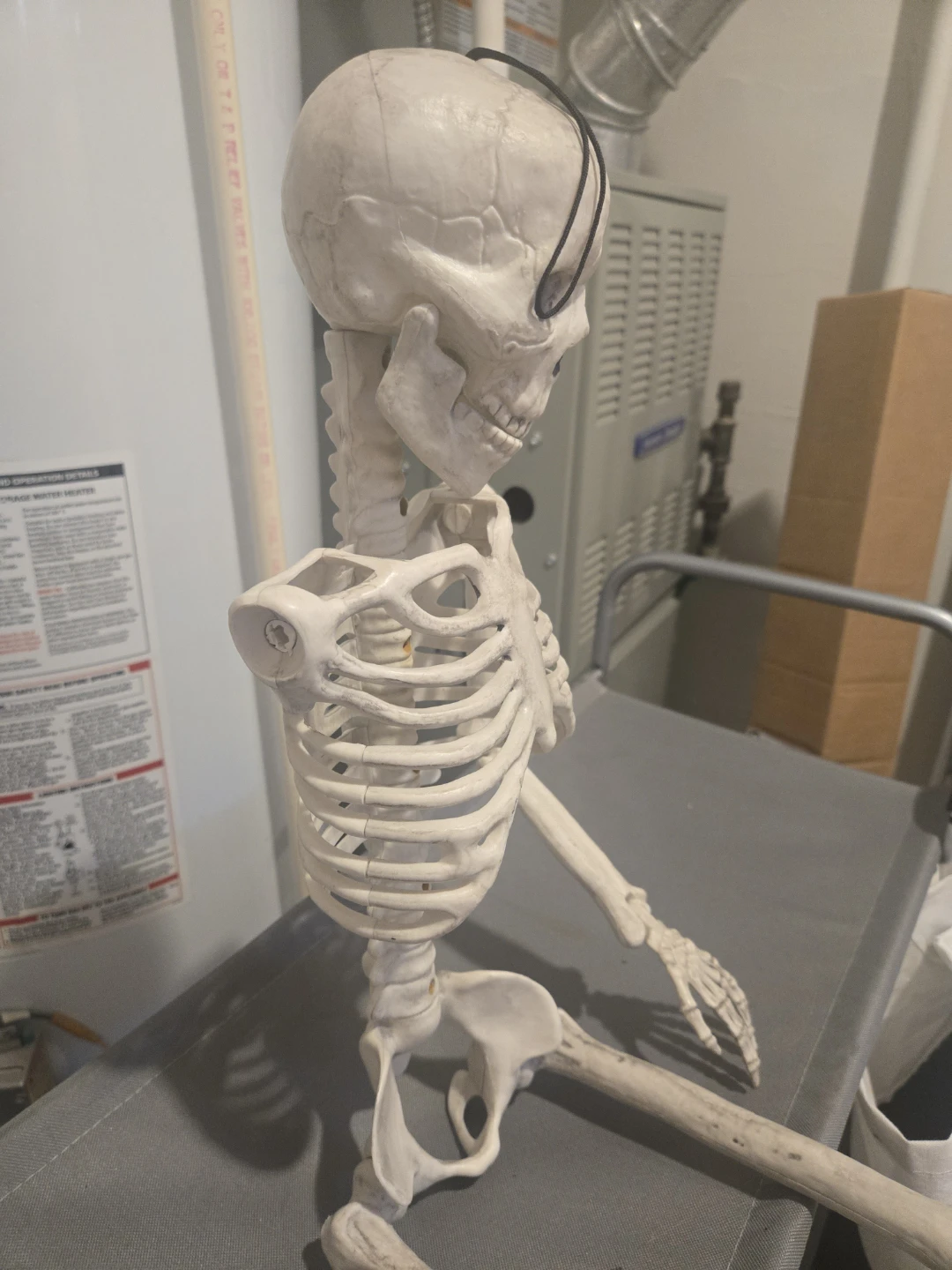 Plastic Skeleton Decoration - photo 2