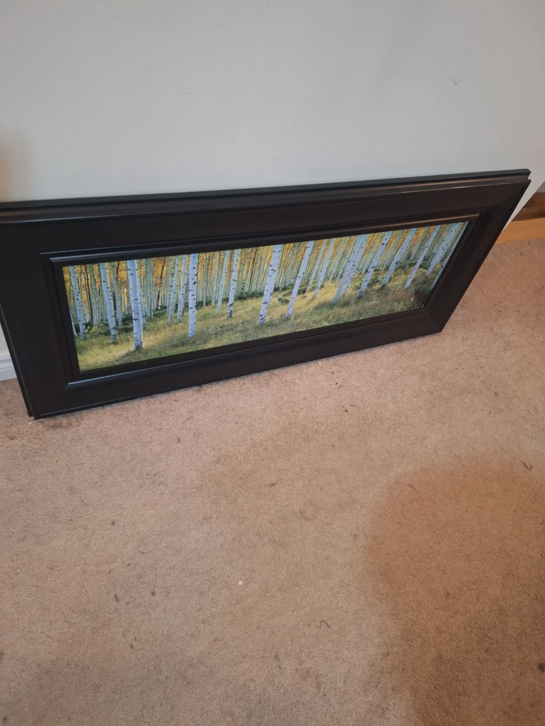 Framed Aspen Forest Wall Art - photo 2