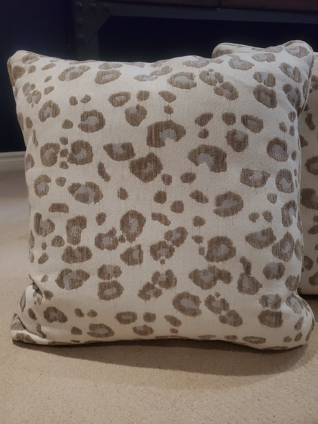 Set of Two Animal Print Throw Pillows