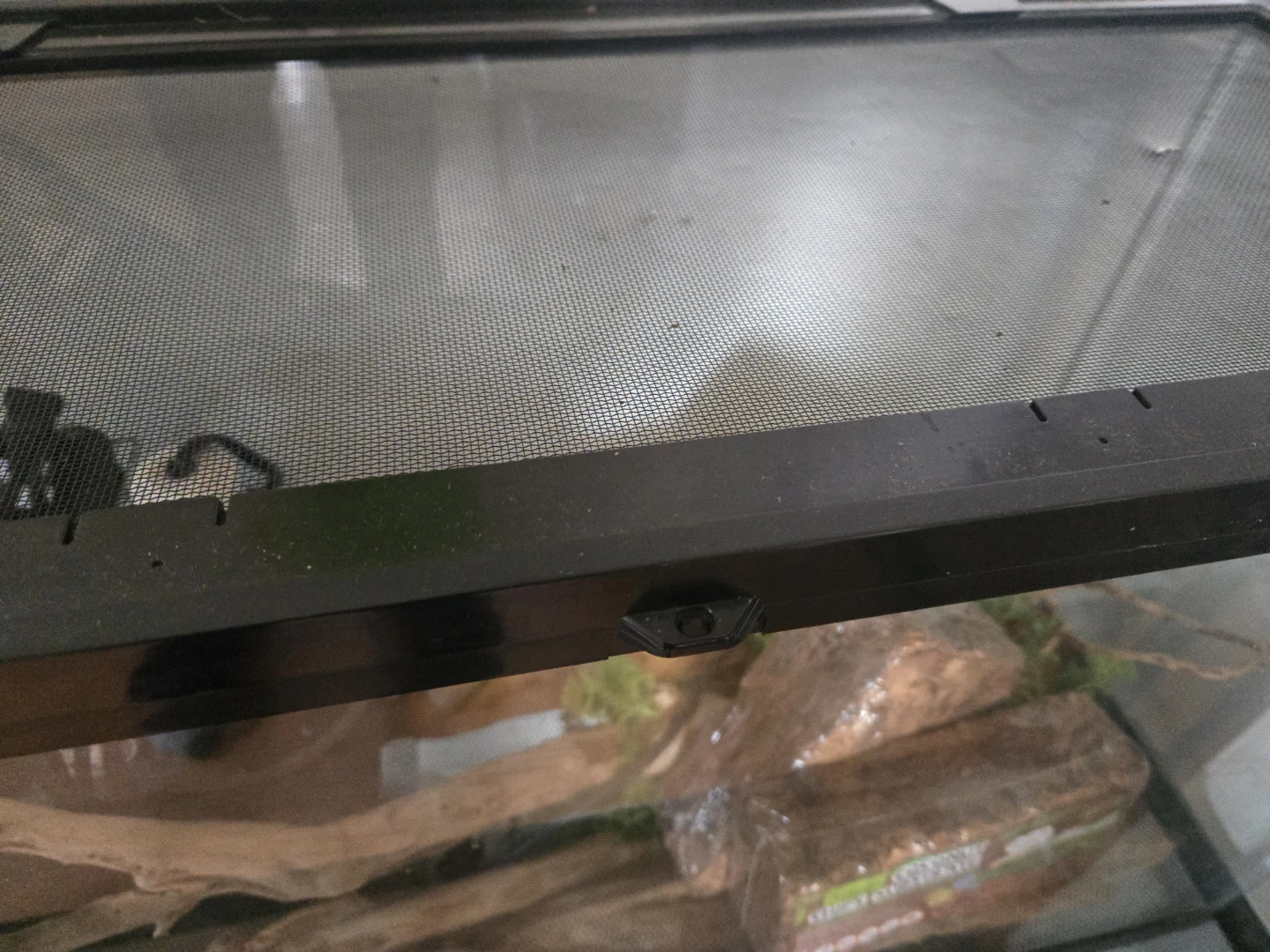 Reptile Glass Terrarium with Accessories - photo 3