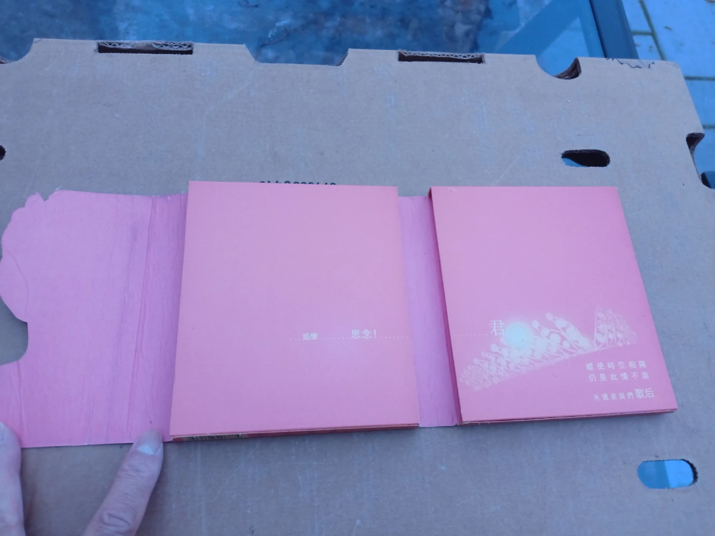 鄧麗君 Teresa Teng 思君集  Box Set Universal Music - photo 2