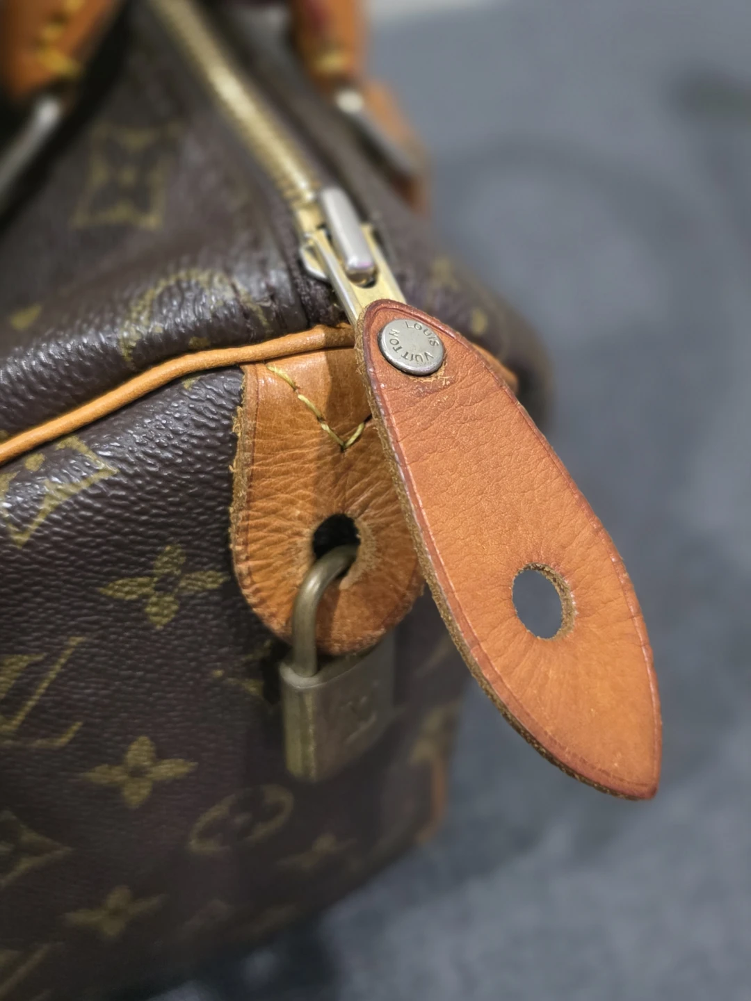 Louis Vuitton Speedy 25 Handbag - photo 4