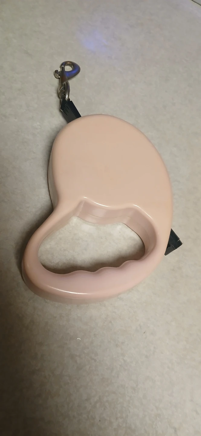 Retractable dog leash
