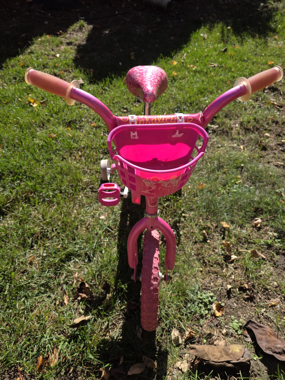 Girls Pinkalicious Bicycle -- 12", Training Wheels & Basket - photo 4
