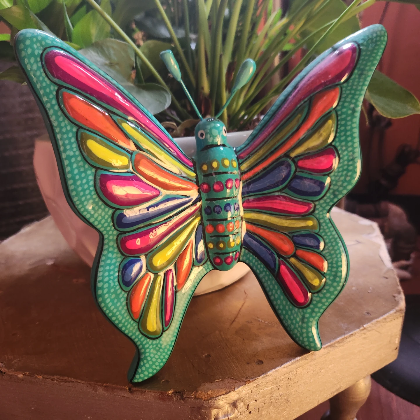 Butterfly 🦋