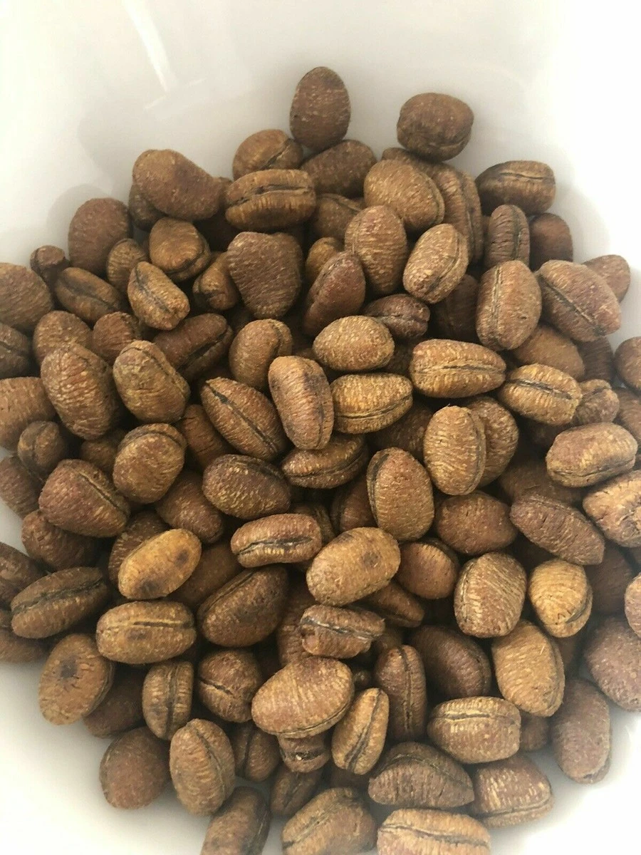 Ehuru African Nutmeg Seeds - photo 2