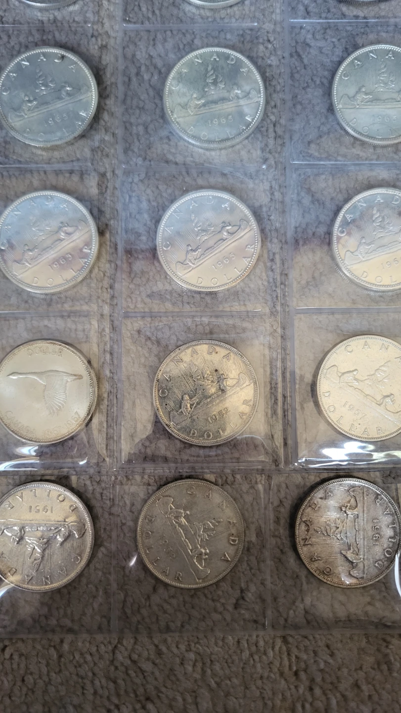 Collection of pre-1967 SILVER DOLLARS! - photo 3