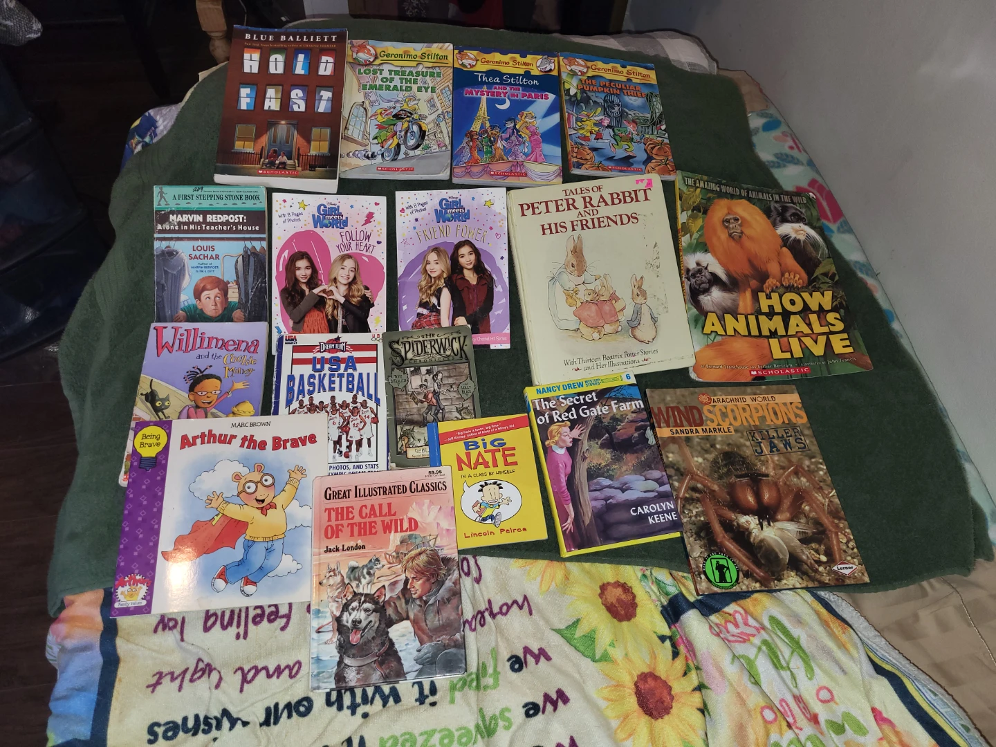 Lot of 15 Assorted Children's Books